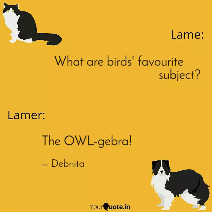 What Are Birds Favou Quotes Writings By Debnita Yourquote