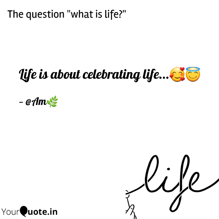 Life is about celebrating... Quotes & Writings by Anandaprova