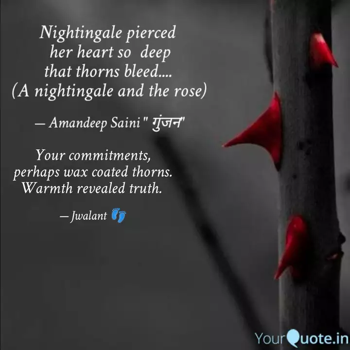 Nightingale Pierced Her Quotes Writings By Kaur Aman Yourquote