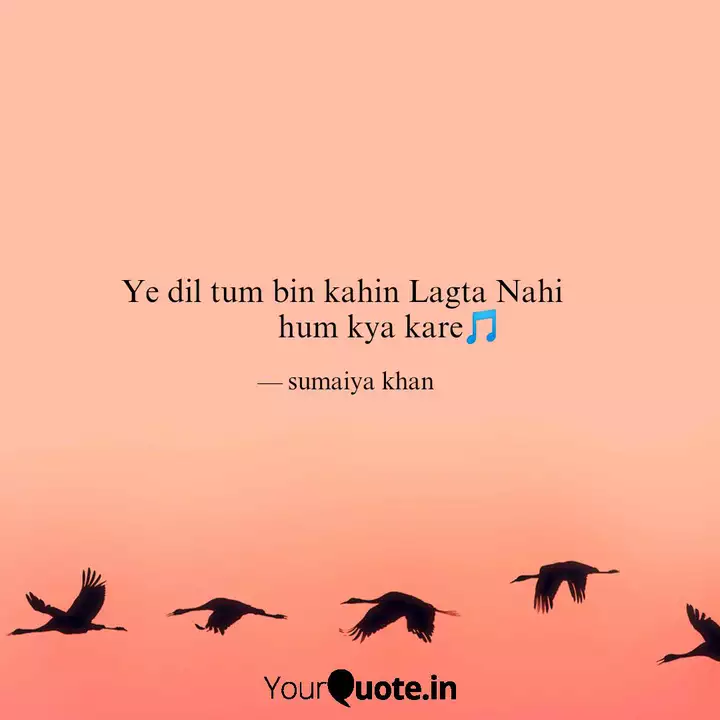 Ye Dil Tum Bin Kahin Lagt Quotes Writings By Sumaiya Khan Yourquote Adriz ने 'ye dil tum bin lagta nahin' पर दिया एक बढ़िया performance! ye dil tum bin kahin lagt quotes