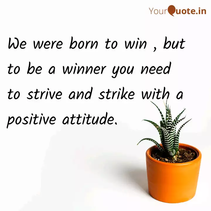 We Were Born To Win But Quotes Writings By Biranchi Narayan Padhi Yourquote