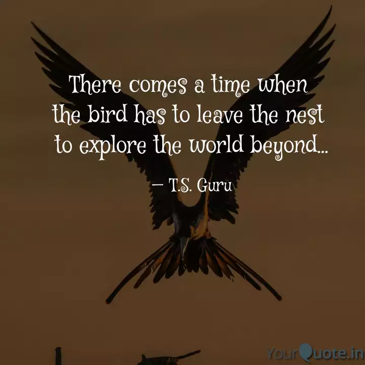 There Comes A Time When Quotes Writings By Shibashis Guru Yourquote