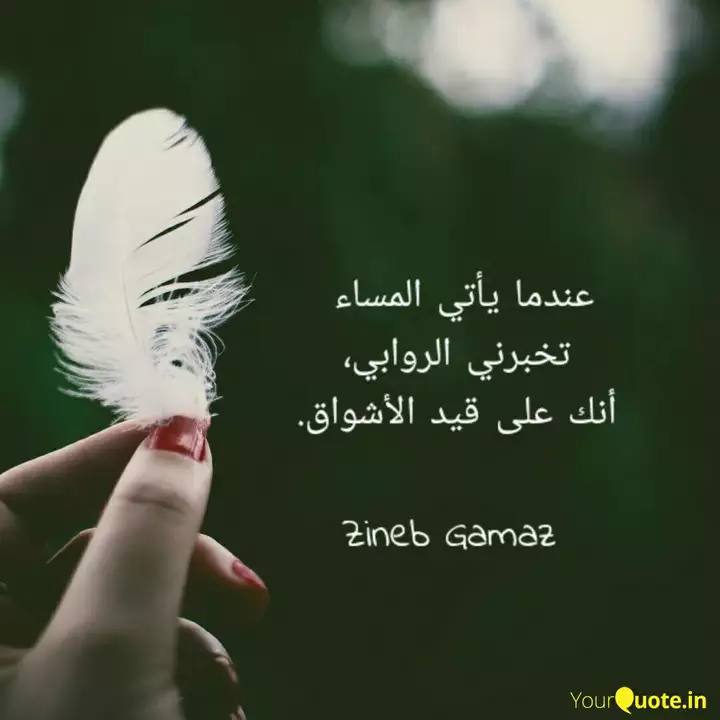عندما يأتي المساء تخبرني Quotes Writings By Zineb Theldj Yourquote
