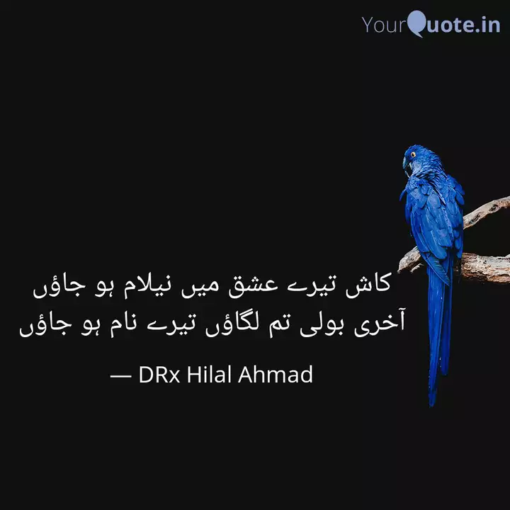 کاش تیرے عشق میں نیلام ہو Quotes Writings By Drx Hilal Ahmad Yourquote
