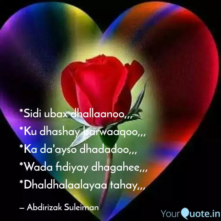 Sidi Ubax Dhallaanoo Quotes Writings By Abdirizak Suleiman Yourquote