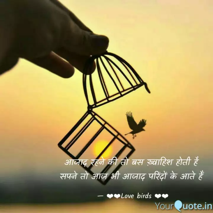 Best Birds Quotes Status Shayari Poetry Thoughts Yourquote