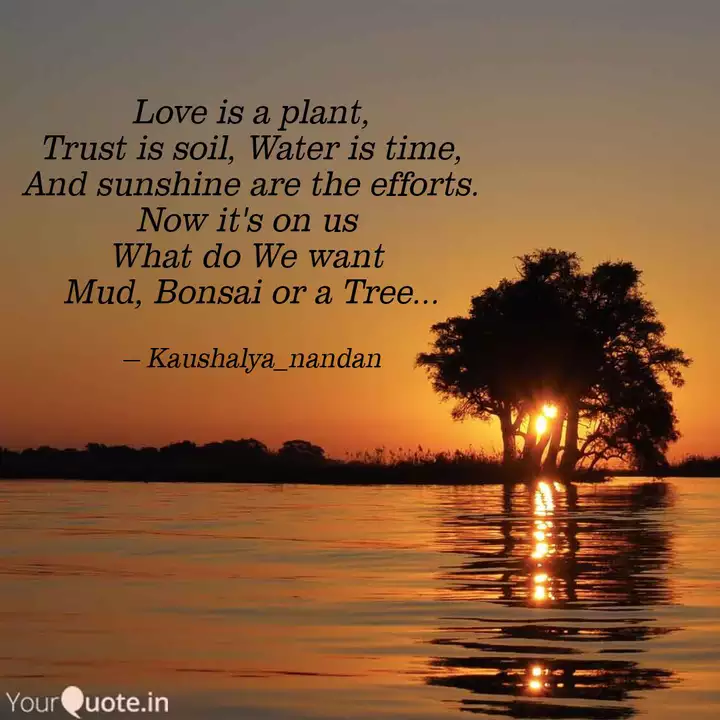 Love Is A Plant Trust Is Quotes Writings By Rahul Dhote Yourquote