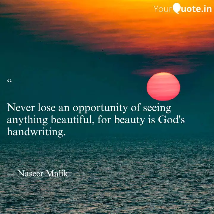 Never Lose An Opportun Quotes Writings By Naseer Malik Yourquote