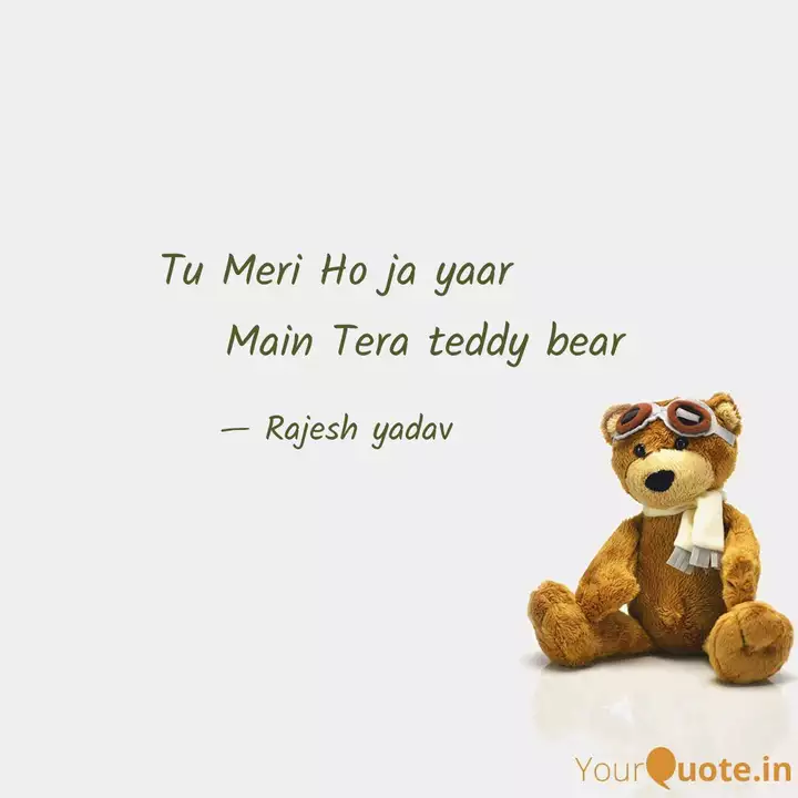 main tera teddy bear