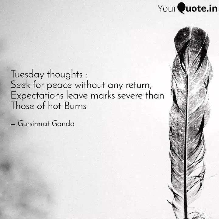 Tuesday Thoughts Seek F Quotes Writings By Gursimrat Ganda Yourquote This is tuesday thoughts by promo.com on vimeo, the home for high quality videos and the people who love them. tuesday thoughts seek f quotes