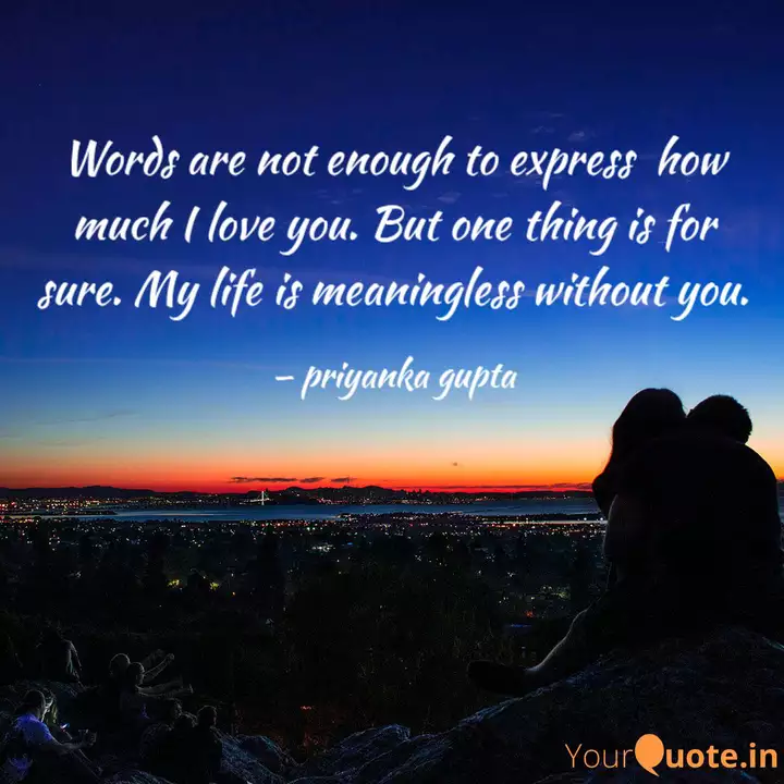 Words Are Not Enough To E Quotes Writings By Priyanka Gupta