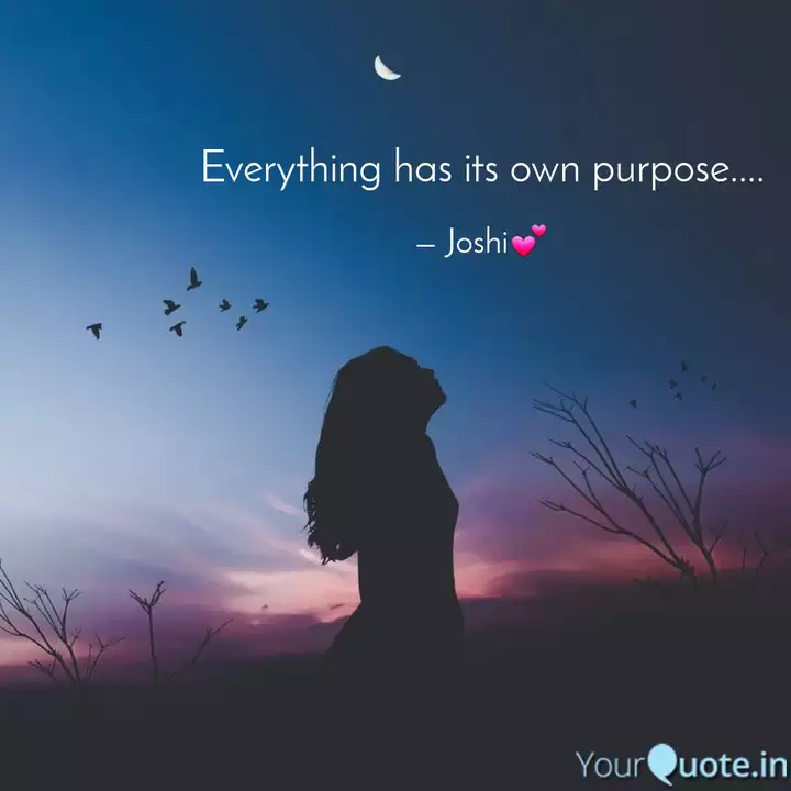 Everything Has Its Own Pu Quotes Writings By Kukkala Joshitha Yourquote