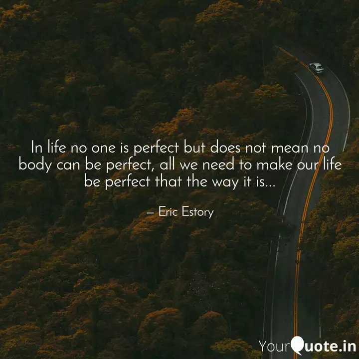 In Life No One Is Perfect Quotes Writings By Eric Estory Yourquote