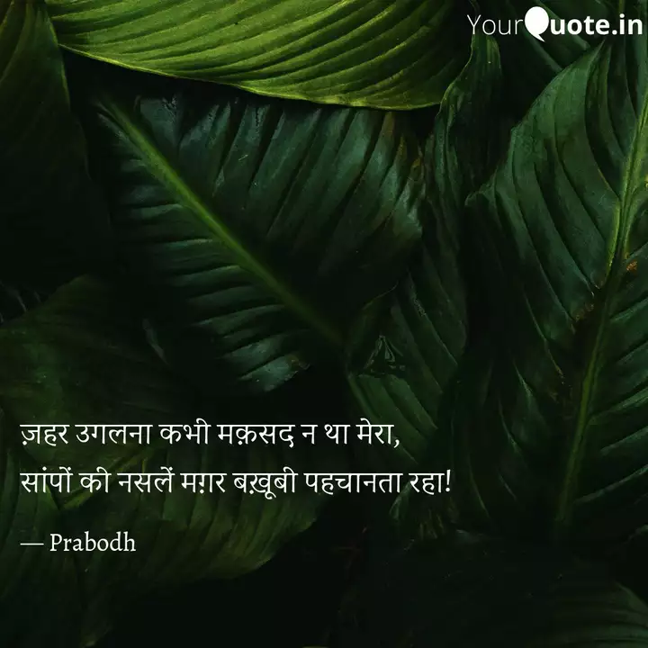 Best À¤¸ À¤ª Quotes Status Shayari Poetry Thoughts Yourquote