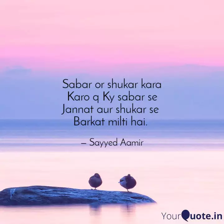Sabar Or Shukar Kara Karo Quotes Writings By Sayyed Aamir Yourquote #shukar #kamyabi #momin #jinkopatahaiunkopatahai #quotes #mbakhan #instaquotes #instatop allah paak ko #musibat mein yaad karna #sabr hai aur #khushiyon mein yaad karna #shukar hai. sabar or shukar kara karo quotes