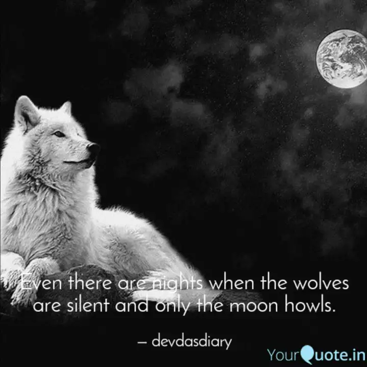 Even There Are Nights Whe Quotes Writings By Dhruv Devdas Yourquote