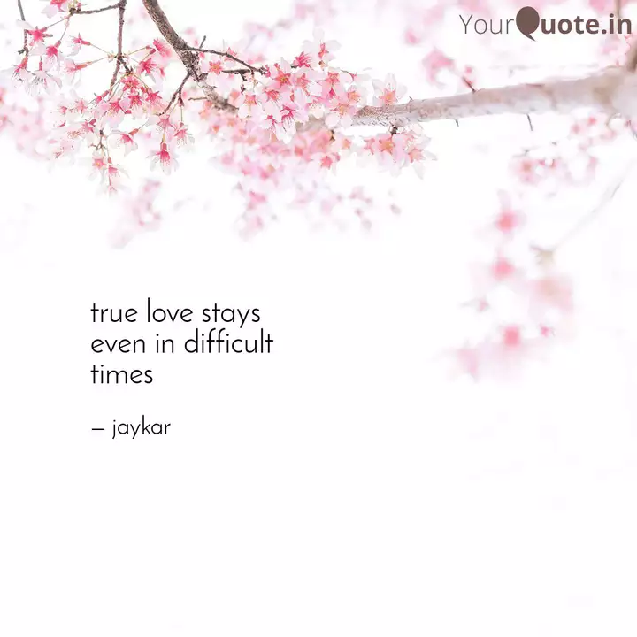 Himanshu Jaykar Ayerhs Quotes Yourquote