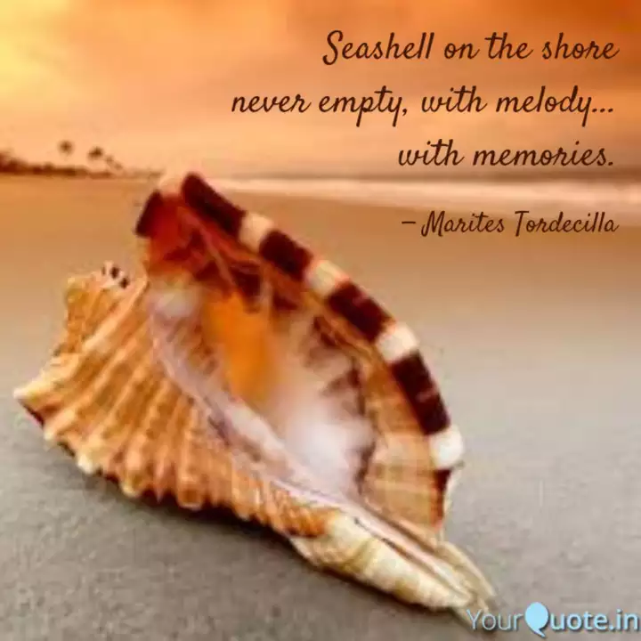 seashell on the shore nev quotes writings by mari sea shell quotes