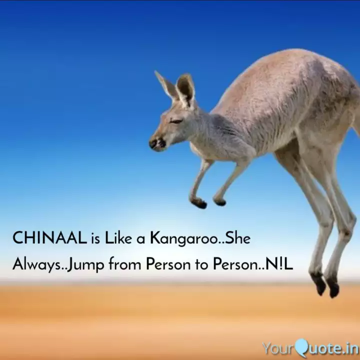 chinaal is like a kangaro quotes writings by nilesh n123456 yourquote yourquote