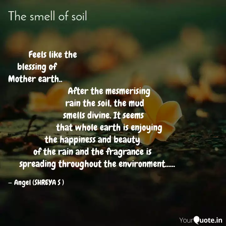 Feels Like The Quotes Writings By Shreya Saha Yourquote