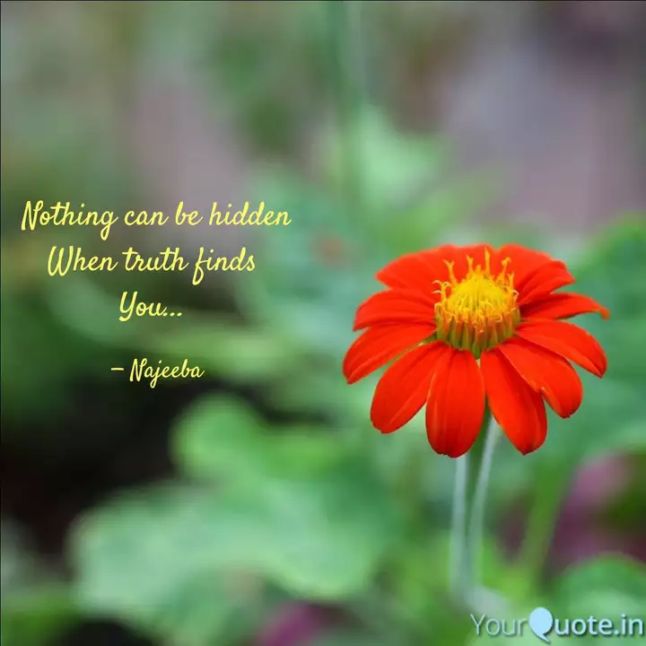 nothing-can-be-hidden-whe-quotes-writings-by-pen-yourquote