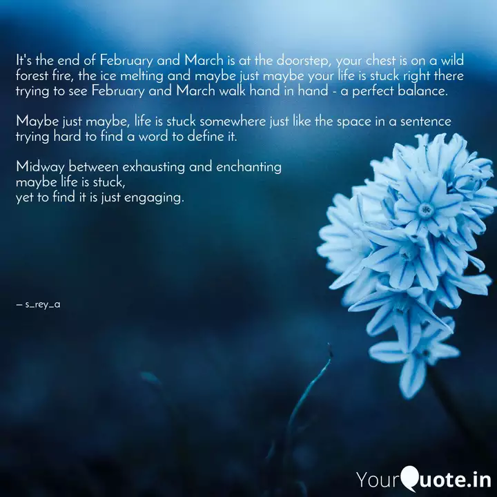 It S The End Of February Quotes Writings By Sreya Sarkar Yourquote The sun slipped through the cloud in bursts, reminding the landscape that it was still there. quotes writings by sreya sarkar