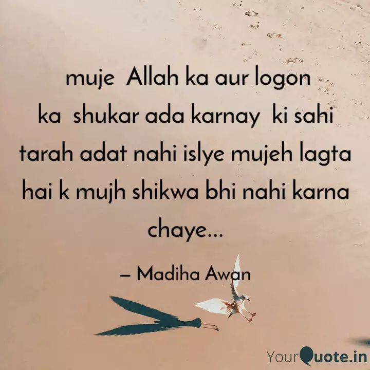 Muje Allah Ka Aur Logon Quotes Writings By Madiha Awan Yourquote Har haal mein allah ka shukar ada karna. muje allah ka aur logon quotes