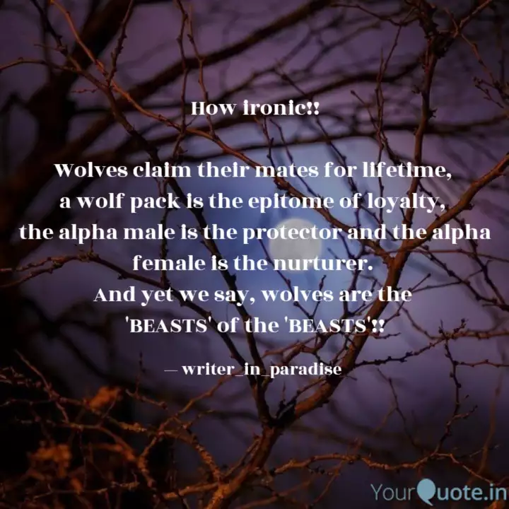 How Ironic Wolves Clai Quotes Writings By Writer In Paradise Yourquote Wolf, are you asking me to be. how ironic wolves clai quotes