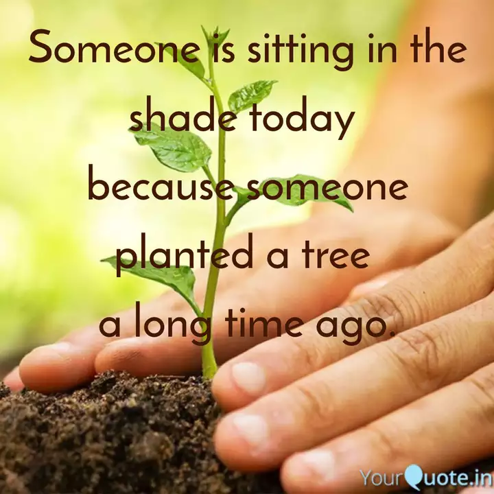 Someone Is Sitting In The Quotes Writings By Suvadeep Debnath Yourquote