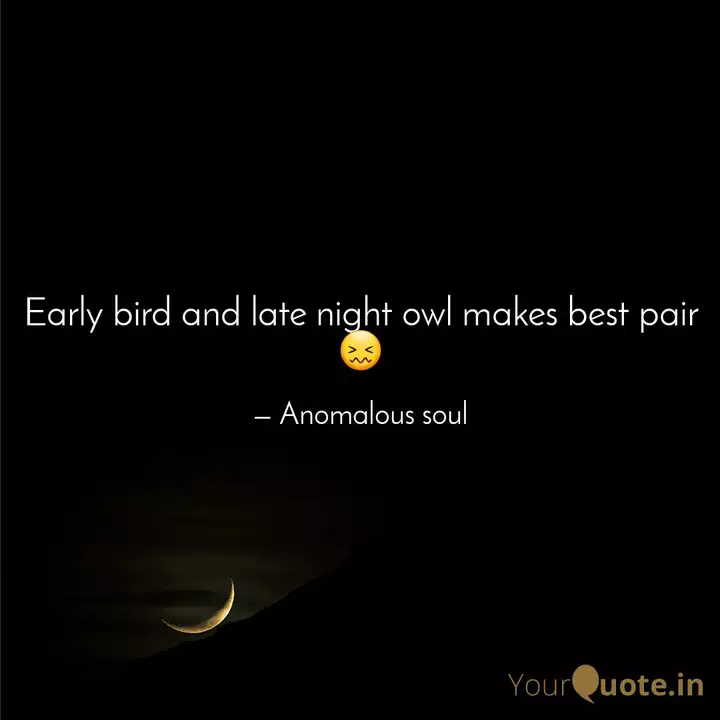 Early Bird And Late Night Quotes Writings By Anushya ăshokan Yourquote
