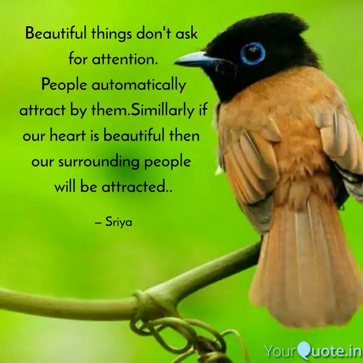 Beautiful Things Don T As Quotes Writings By Sriyansi Khadanga Yourquote Beautiful Things Don T As Quotes Writings By Sriyansi Khadanga Yourquote