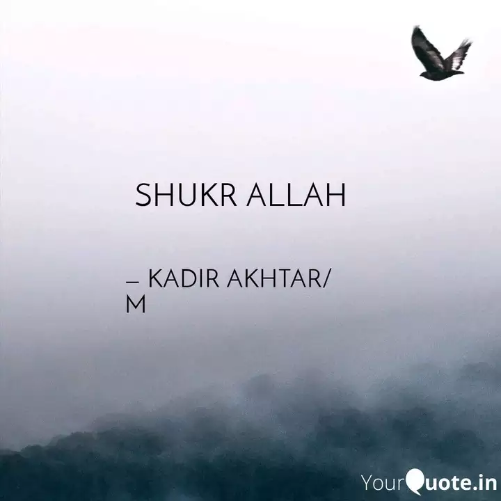 Shukr Allah Quotes Writings By Kadir Akhtar Yourquote نا امید شخص ہر اچھا موقع بھی گنوا دیتا ہے. shukr allah quotes writings by