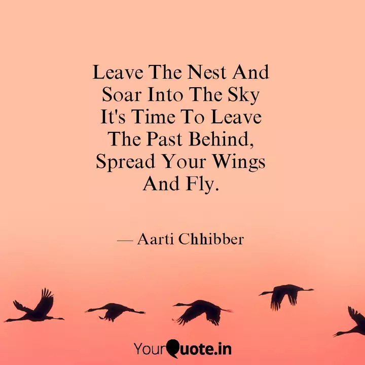 Leave The Nest And Soar I Quotes Writings By Aarti Chhibber Yourquote