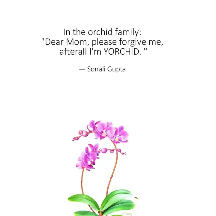 Best Orchid Quotes Status Shayari Poetry Thoughts Yourquote