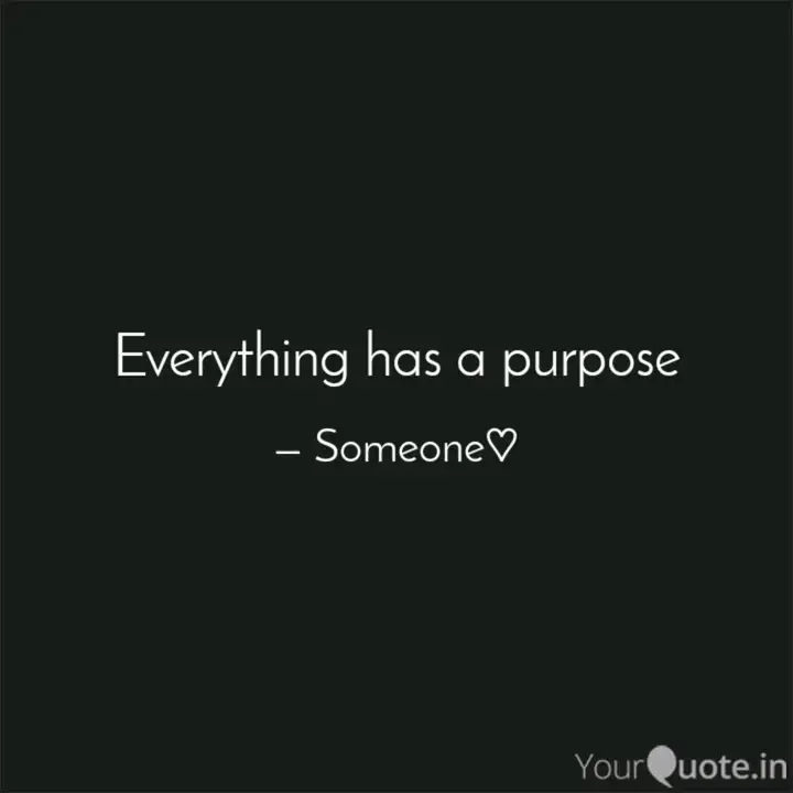 Everything Has A Purpose Quotes Writings By Bandana Yourquote