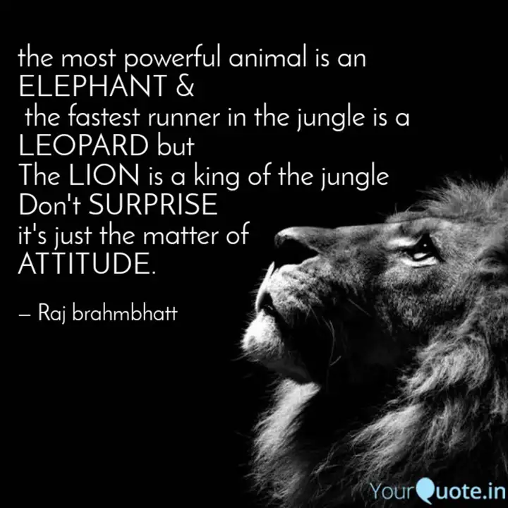 The Most Powerful Animal Quotes Writings By Raj Brahmbhatt Yourquote