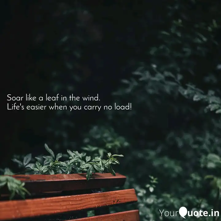 Soar Like A Leaf In The W Quotes Writings By Akash Gupta Yourquote