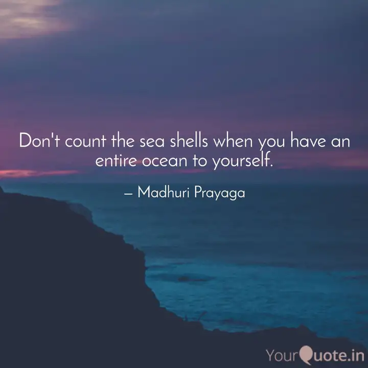 dont count the sea shell quotes writings by madhuri sea shell quotes