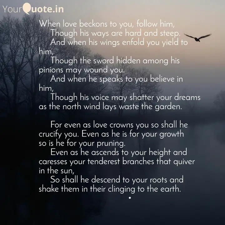 When Love Beckons To You Quotes Writings By Noman Abdullah Yourquote