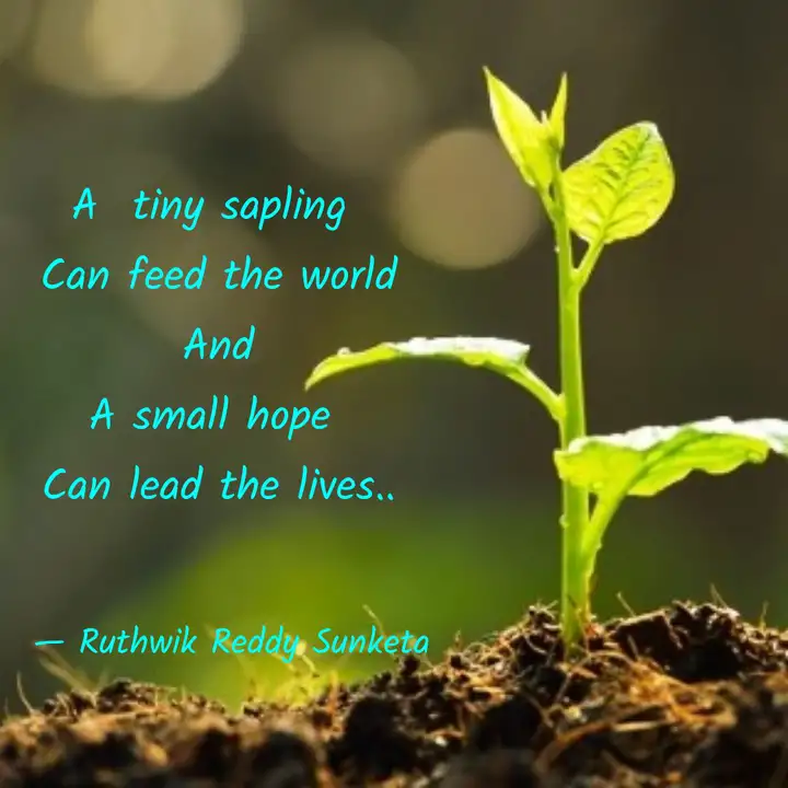 a tiny sapling can feed quotes writings by ruthwik reddy sunketa yourquote a tiny sapling can feed quotes