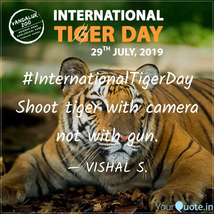 Internationaltigerday Sh Quotes Writings By Vishal Shegaonkar Yourquote