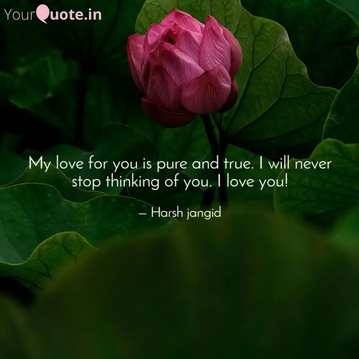 My Love For You Is Pure A Quotes Writings By Harsh Jangid Yourquote