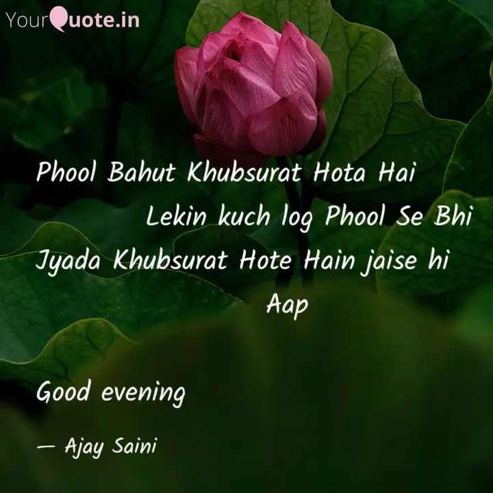 Phool Bahut Khubsurat Hot Quotes Writings By Ajay Saini Yourquote