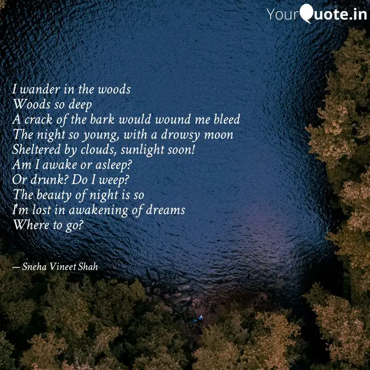 Woods