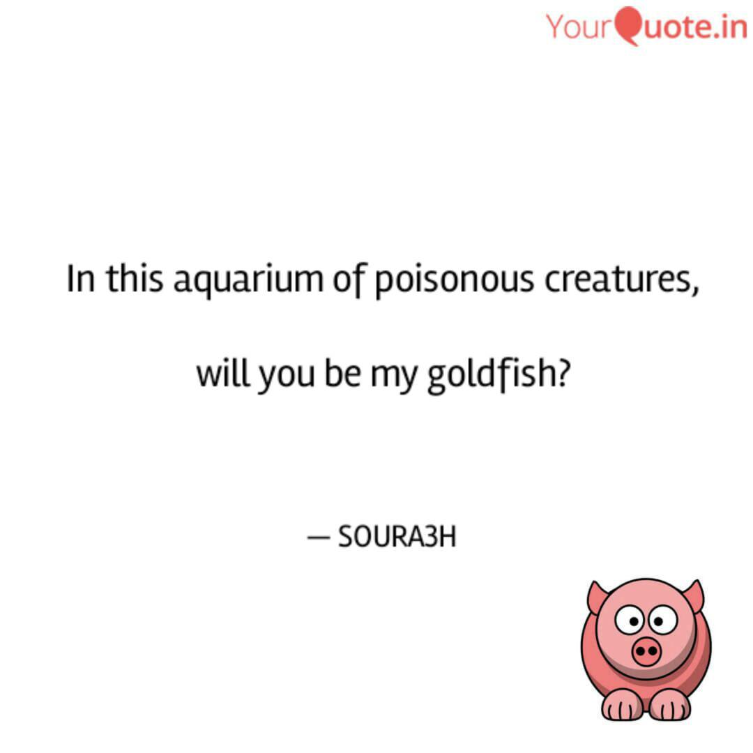 Best aquarium Quotes, Status, Shayari, Poetry & Thoughts YourQuote
