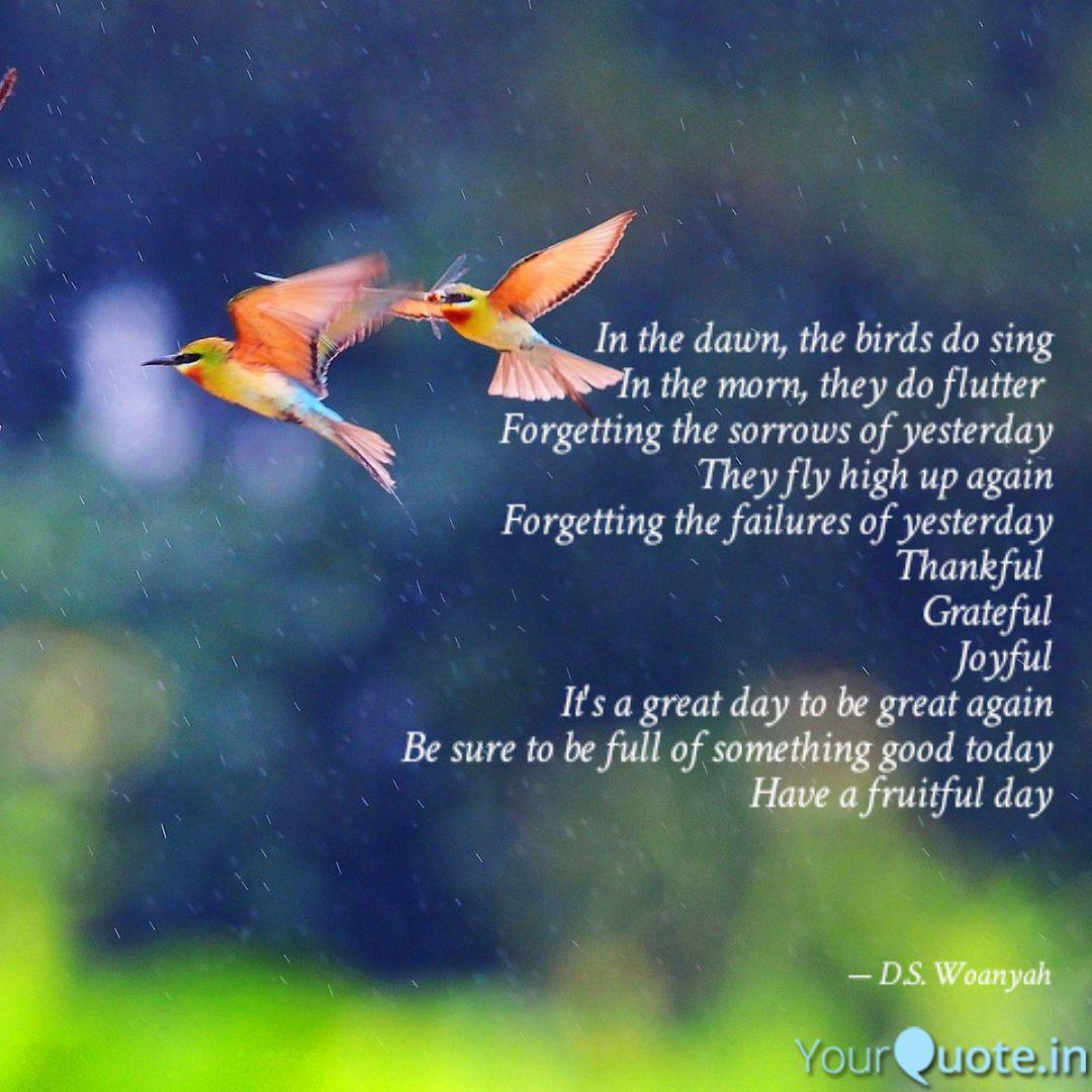 In The Dawn The Birds Do Quotes Writings By Sandra Woanyah Yourquote