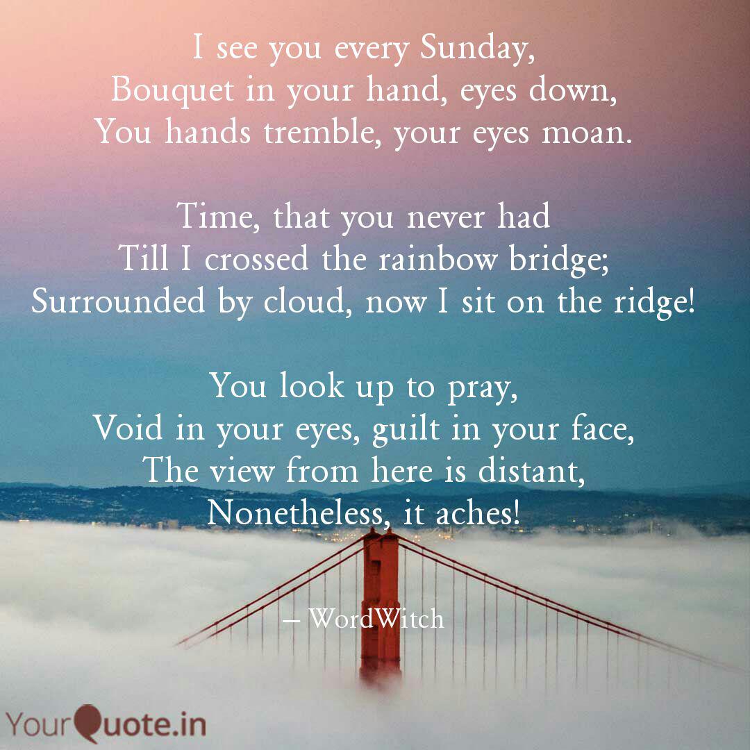 Best Rainbowbridge Quotes Status Shayari Poetry Thoughts