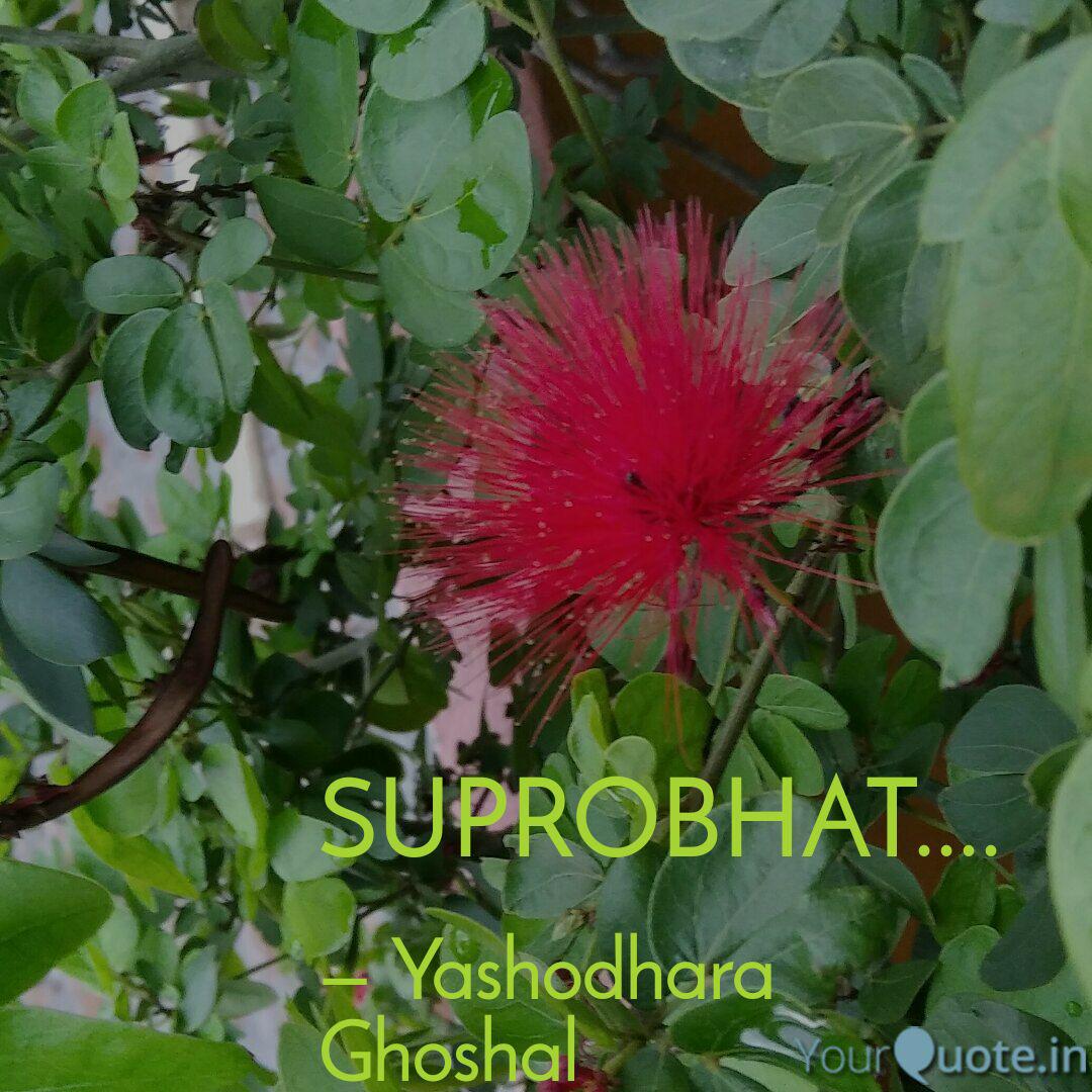Yashodhara Ghoshal Quotes Yourquote