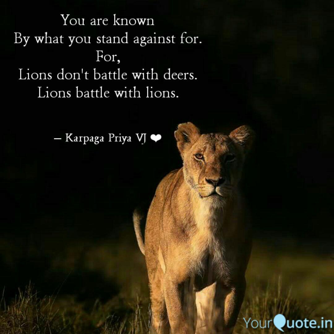 Best Deer Quotes Status Shayari Poetry Thoughts Yourquote