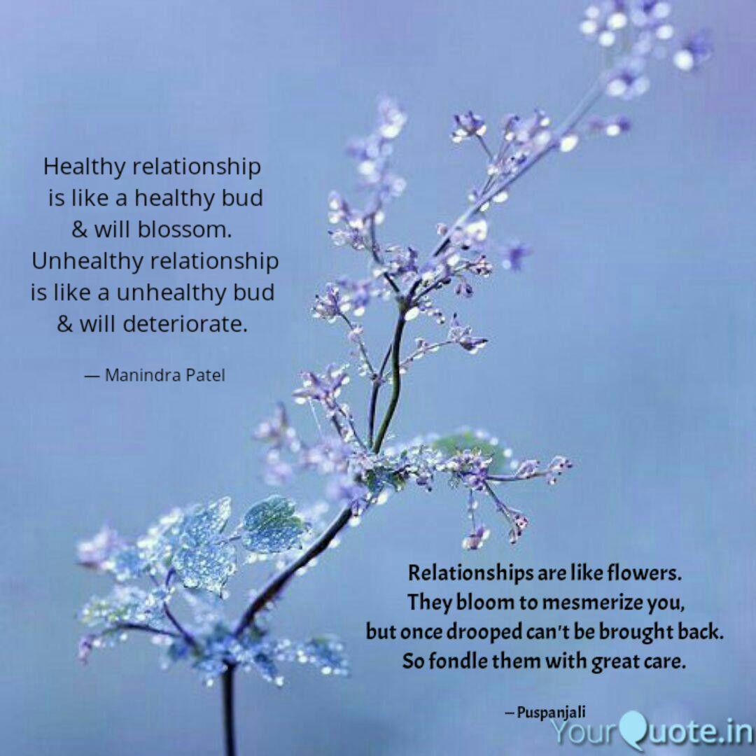 Best Relationshipsarelike Quotes Status Shayari Poetry Thoughts Yourquote In a healthy relationship your partner should be someone who understands you and make you feel special.